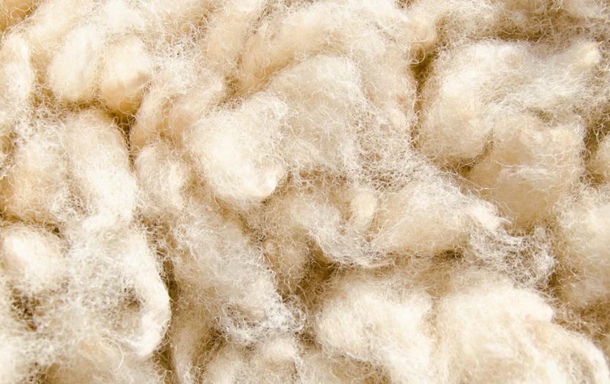 Texels schapenwol fijn voor reuma